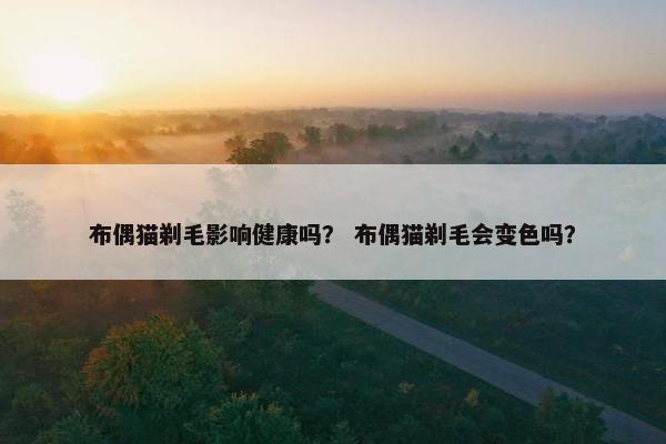 布偶猫剃毛影响健康吗？ 布偶猫剃毛会变色吗？