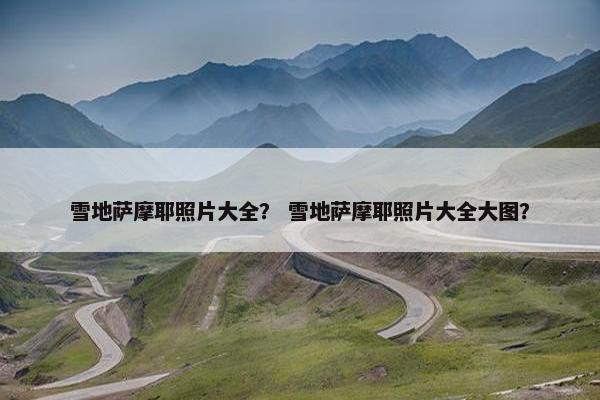 雪地萨摩耶照片大全？ 雪地萨摩耶照片大全大图？