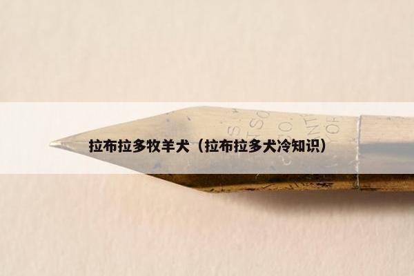 拉布拉多牧羊犬（拉布拉多犬冷知识）