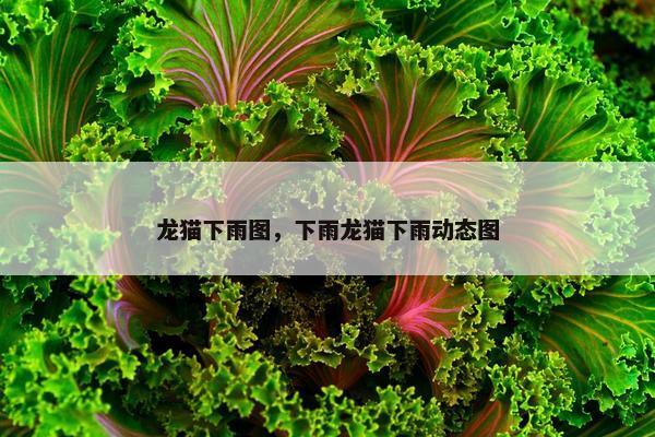 龙猫下雨图，下雨龙猫下雨动态图