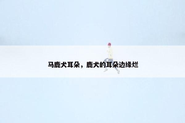 马鹿犬耳朵,鹿犬的耳朵边缘烂