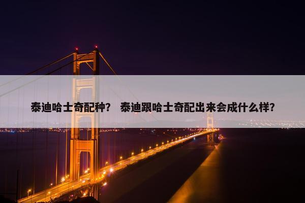 泰迪哈士奇配种? 泰迪跟哈士奇配出来会成什么样?