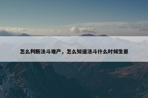 怎么判断法斗难产，怎么知道法斗什么时候生崽