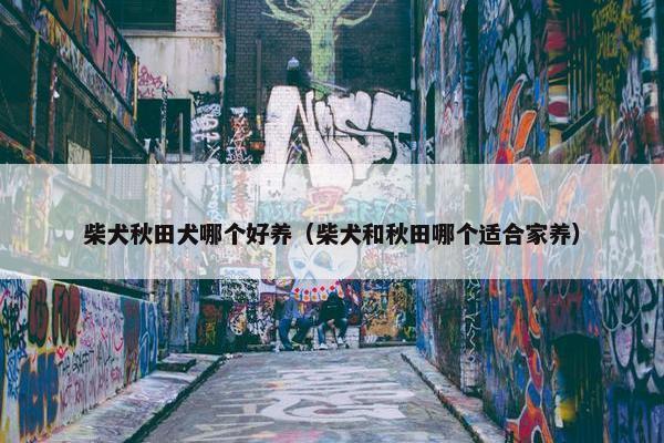 柴犬秋田犬哪个好养（柴犬和秋田哪个适合家养）