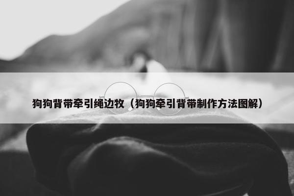 狗狗背带牵引绳边牧（狗狗牵引背带制作方法图解）