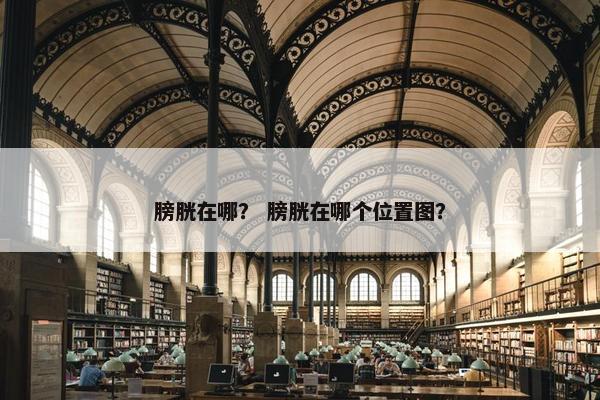 膀胱在哪？ 膀胱在哪个位置图？
