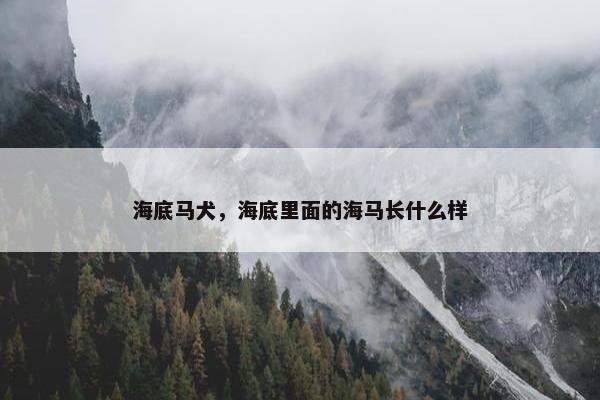 海底马犬,海底里面的海马长什么样