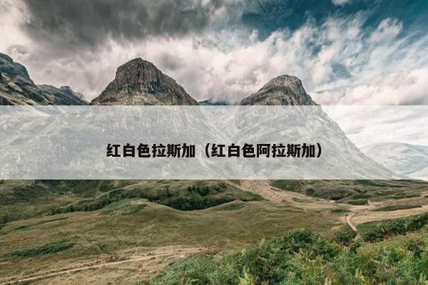 红白色拉斯加（红白色阿拉斯加）