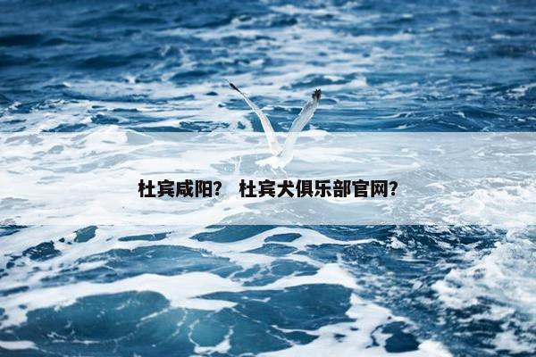 杜宾咸阳？ 杜宾犬俱乐部官网？