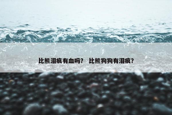 比熊泪痕有血吗？ 比熊狗狗有泪痕？