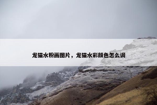 想象力