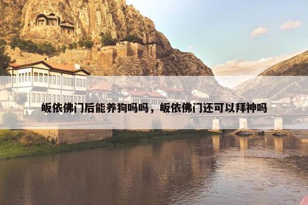 梦想启航 第37页