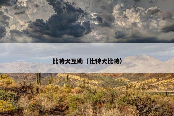 比特犬互助（比特犬比特）