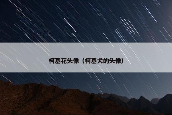 柯基花头像（柯基犬的头像）