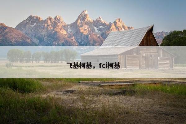 飞基柯基，fci柯基