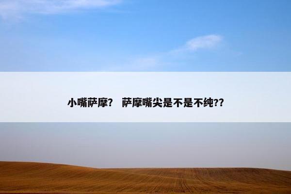 小嘴萨摩？ 萨摩嘴尖是不是不纯?？