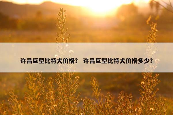 许昌巨型比特犬价格？ 许昌巨型比特犬价格多少？