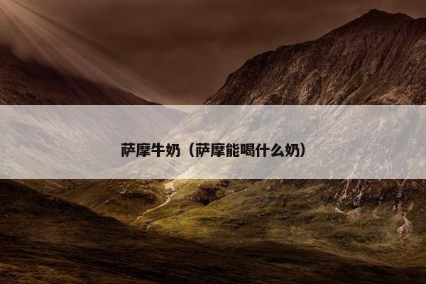 萨摩牛奶（萨摩能喝什么奶）