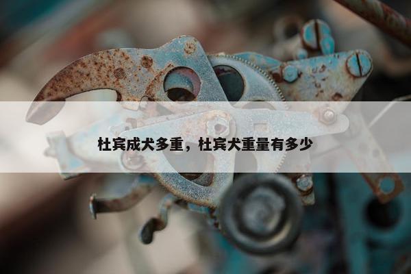 杜宾成犬多重，杜宾犬重量有多少