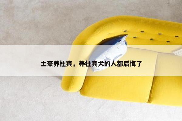土豪养杜宾，养杜宾犬的人都后悔了
