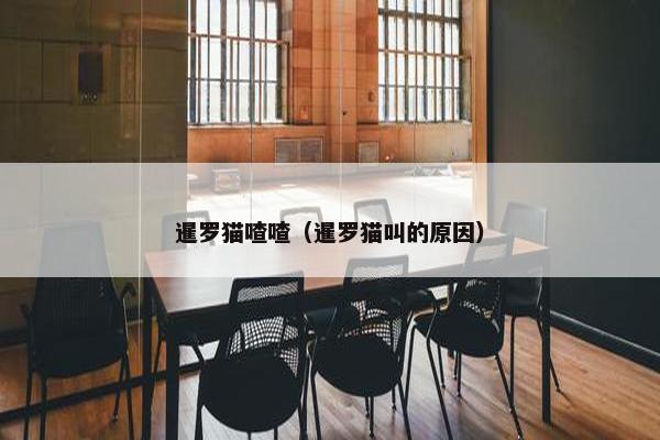 暹罗猫喳喳(暹罗猫叫的原因)