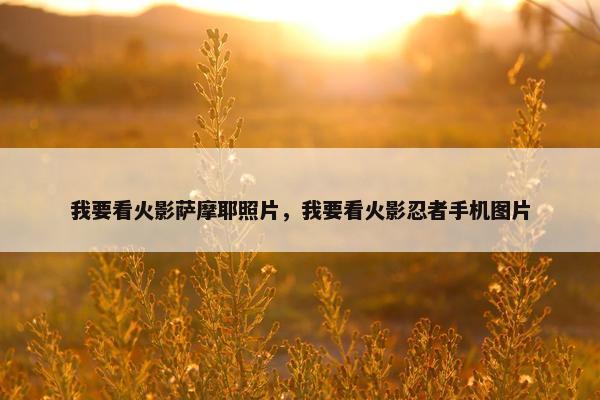 我要看火影萨摩耶照片，我要看火影忍者手机图片