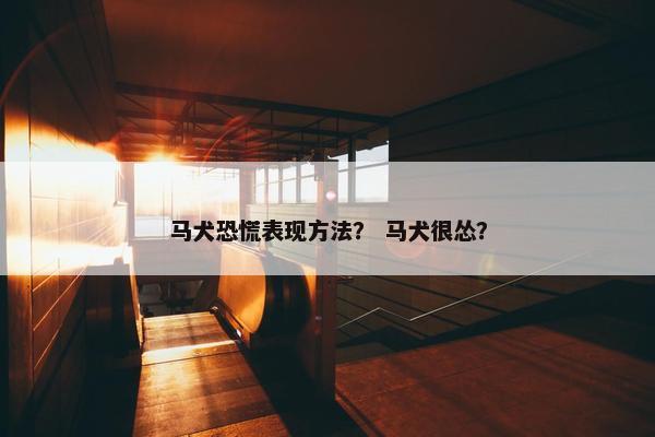 马犬恐慌表现方法？ 马犬很怂？
