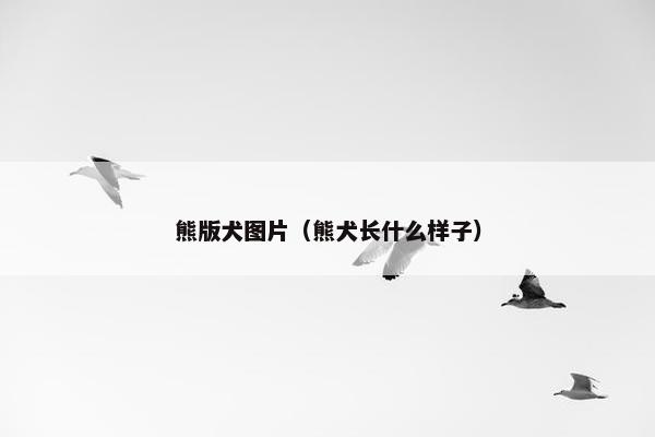 梦想启航 第34页