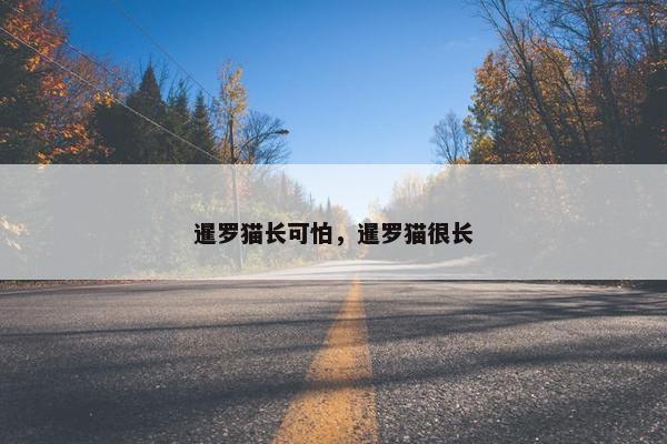 暹罗猫长可怕，暹罗猫很长