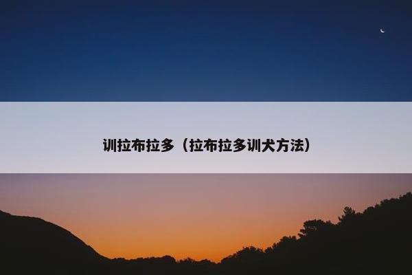训拉布拉多（拉布拉多训犬方法）