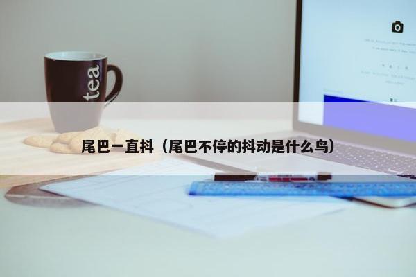 尾巴一直抖（尾巴不停的抖动是什么鸟）