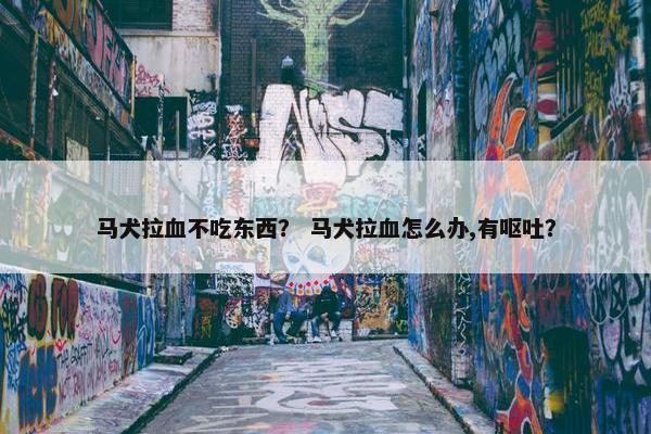 马犬拉血不吃东西？ 马犬拉血怎么办,有呕吐？