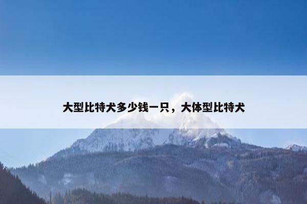 大型比特犬多少钱一只，大体型比特犬