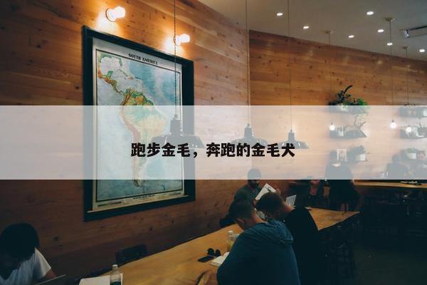 跑步金毛，奔跑的金毛犬