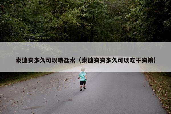 泰迪狗多久可以喂盐水（泰迪狗狗多久可以吃干狗粮）