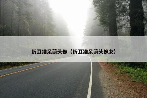 折耳猫呆萌头像（折耳猫呆萌头像女）