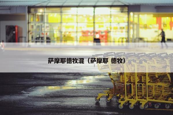 萨摩耶德牧混（萨摩耶 德牧）