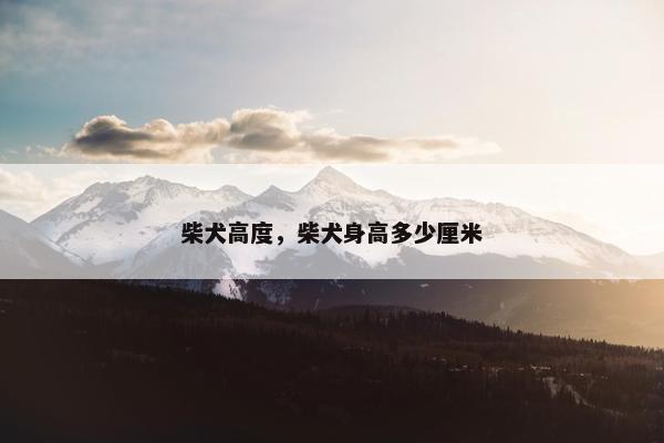 柴犬高度，柴犬身高多少厘米