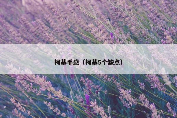 柯基手感（柯基5个缺点）