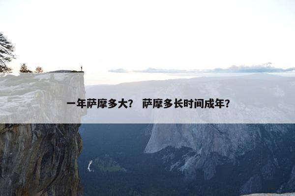 一年萨摩多大？ 萨摩多长时间成年？