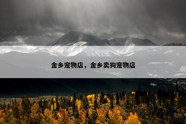 金乡宠物店，金乡卖狗宠物店