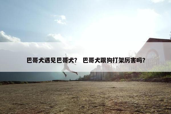 巴哥犬遇见巴哥犬？ 巴哥犬跟狗打架厉害吗？