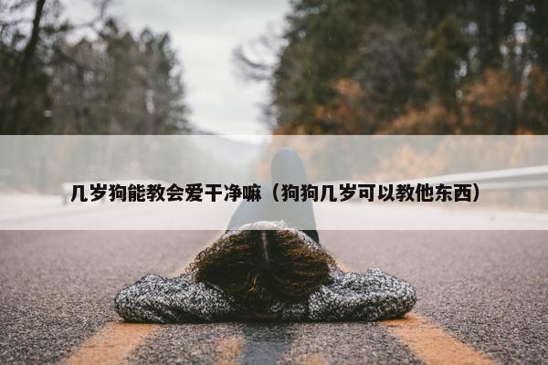 几岁狗能教会爱干净嘛（狗狗几岁可以教他东西）