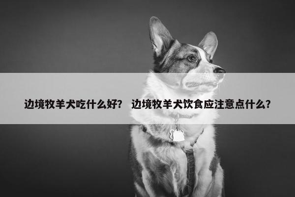 边境牧羊犬吃什么好？ 边境牧羊犬饮食应注意点什么？
