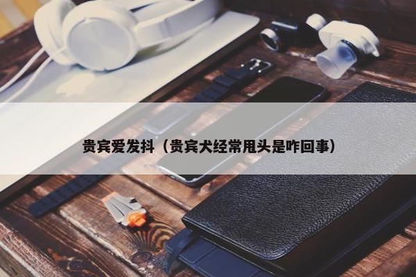 贵宾爱发抖（贵宾犬经常甩头是咋回事）