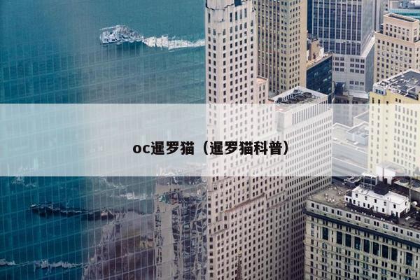 oc暹罗猫（暹罗猫科普）