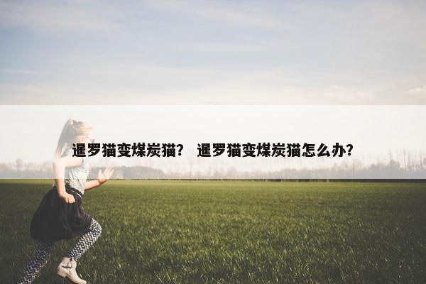 暹罗猫变煤炭猫？ 暹罗猫变煤炭猫怎么办？