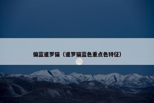 偏蓝暹罗猫（暹罗猫蓝色重点色特征）