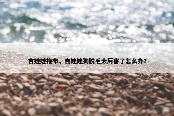 吉娃娃拖布，吉娃娃狗脱毛太厉害了怎么办?
