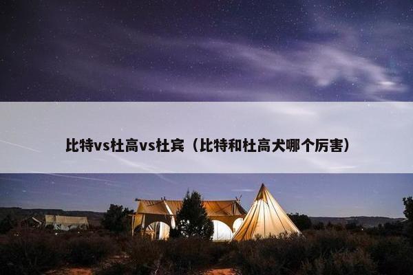 比特vs杜高vs杜宾（比特和杜高犬哪个厉害）